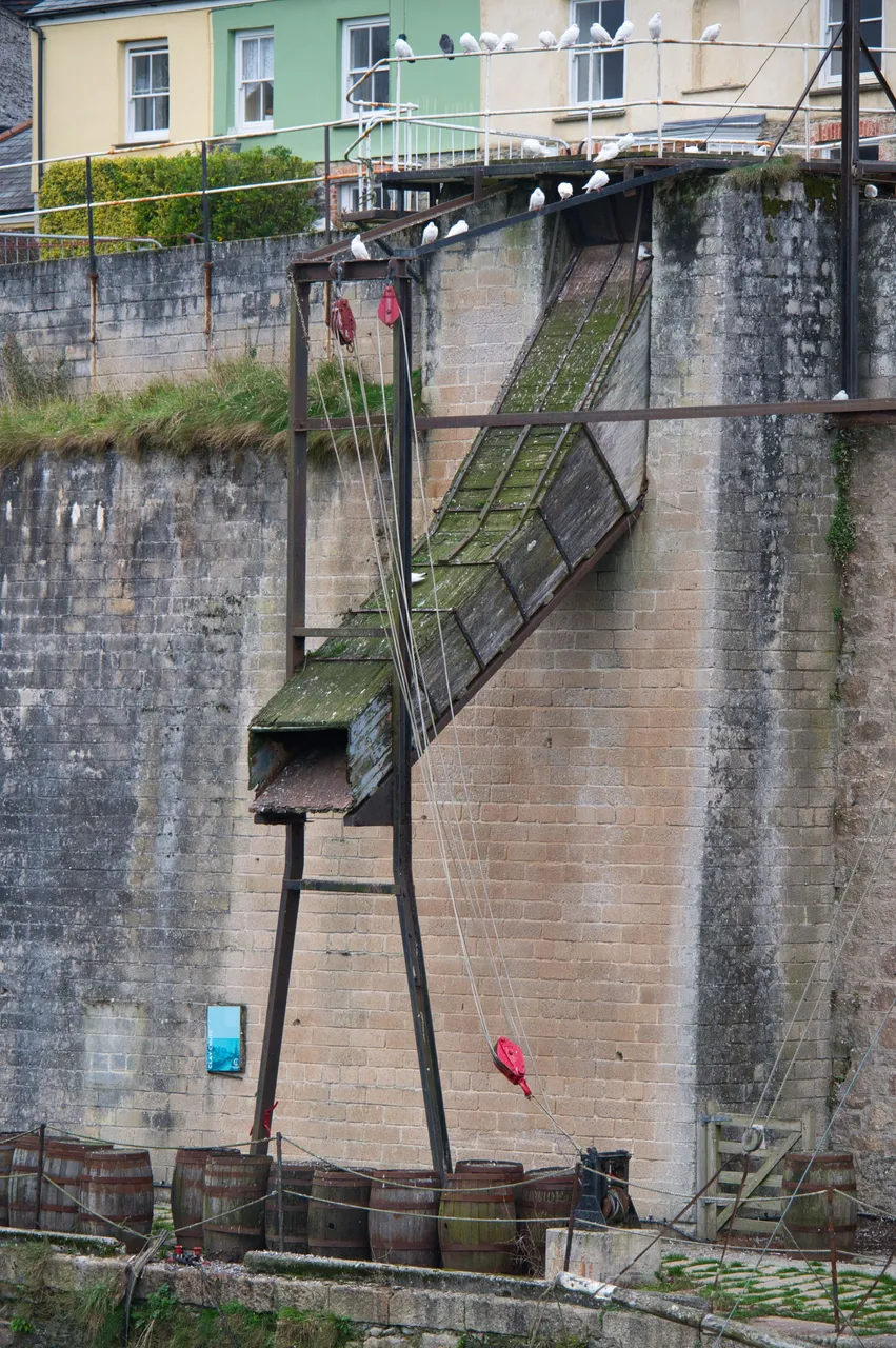 _DSC2537.jpeg