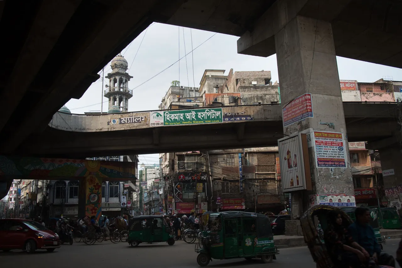 _DSC7810.jpeg