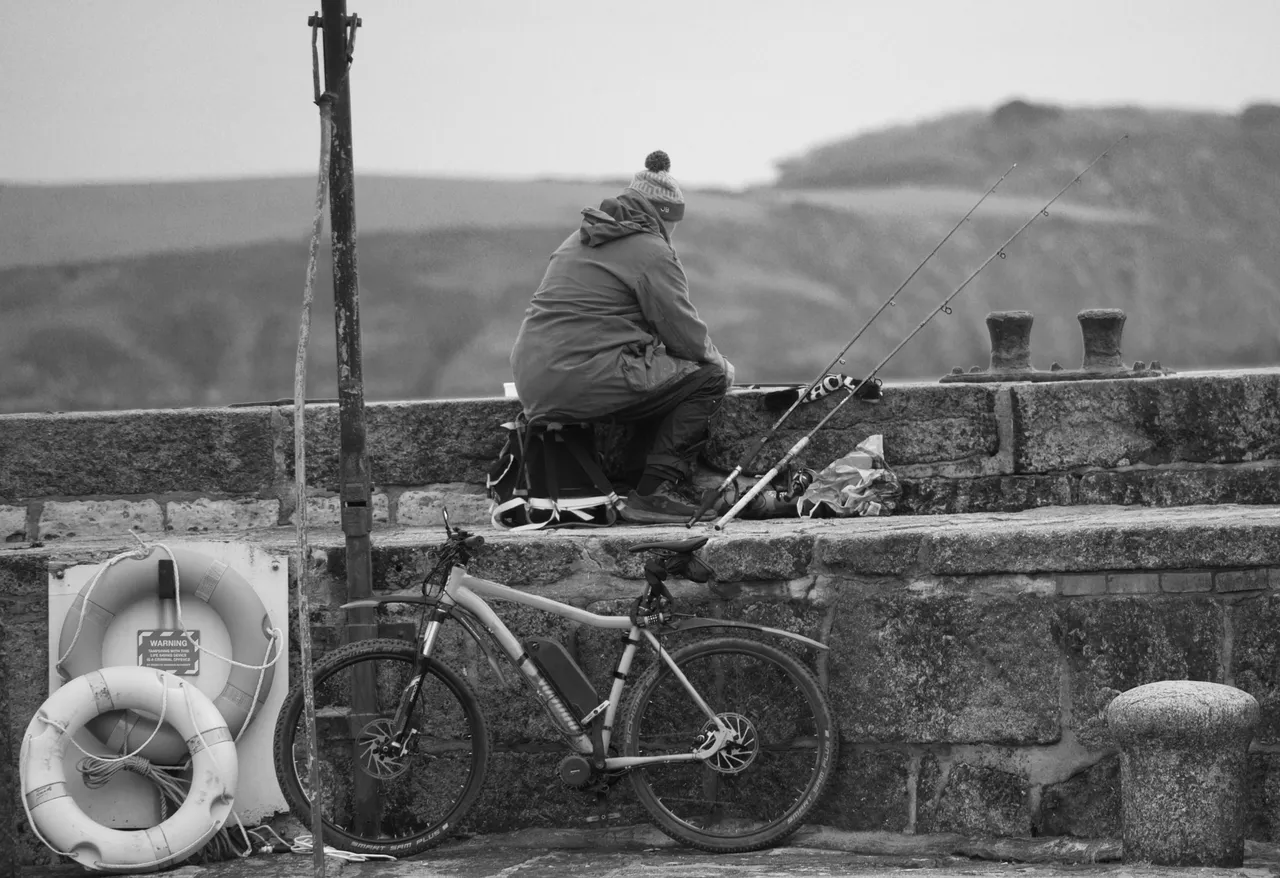 _DSC2527.jpeg
