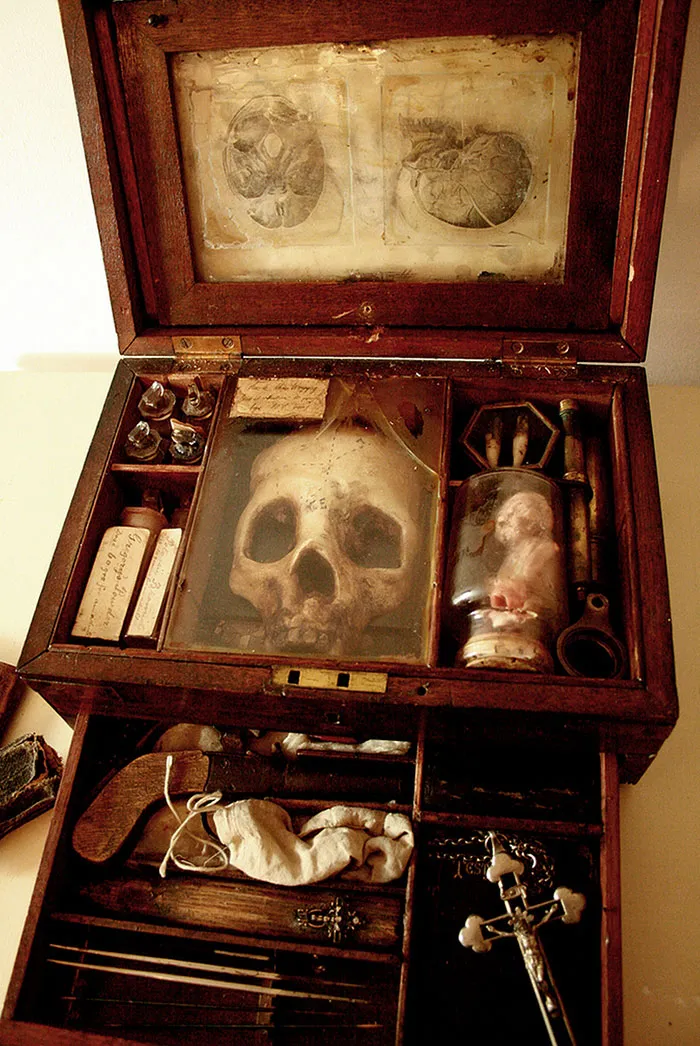 skulls-skeletons-thomas-theodore-merlin-home-london8.jpg