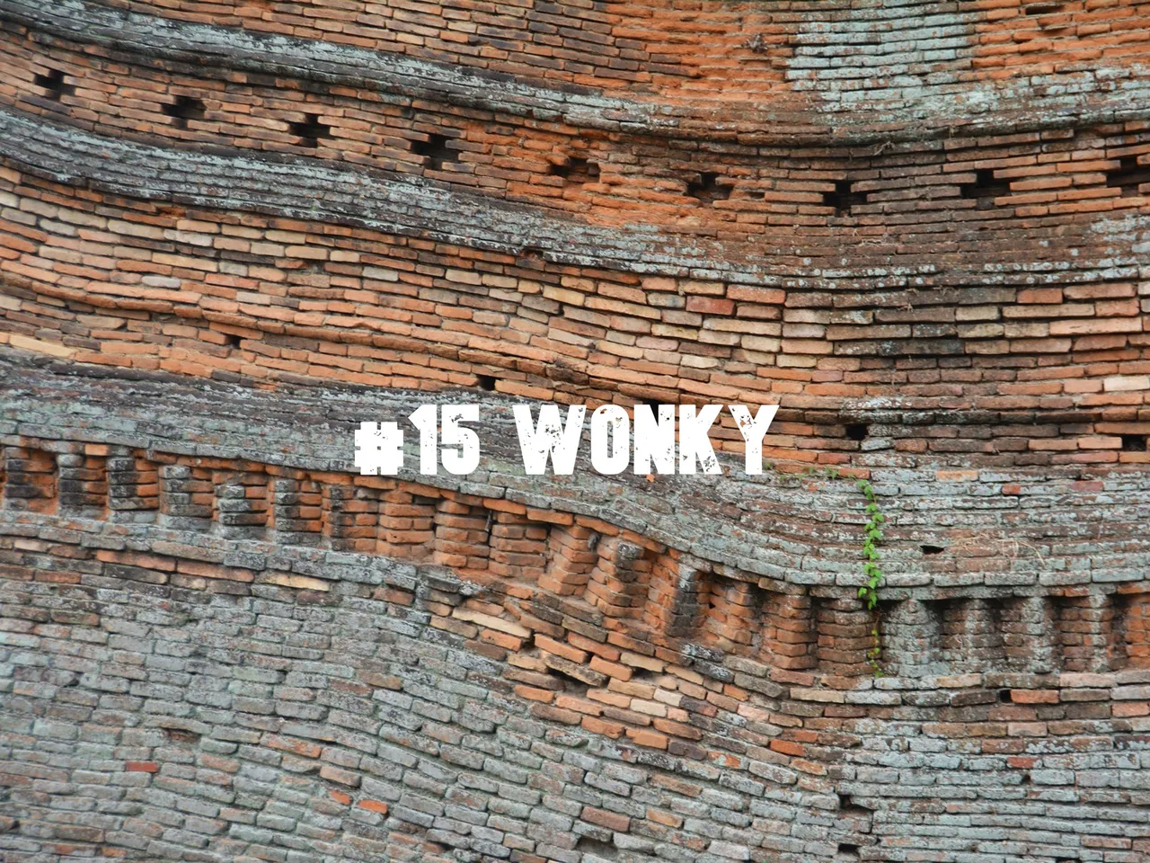 15 wonky.jpeg