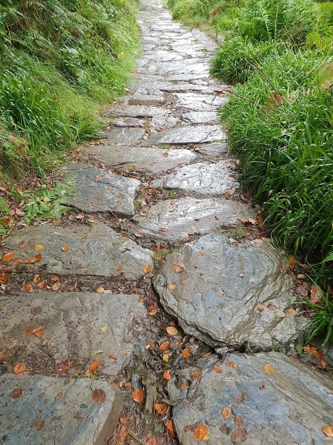20210910_142643.jpeg