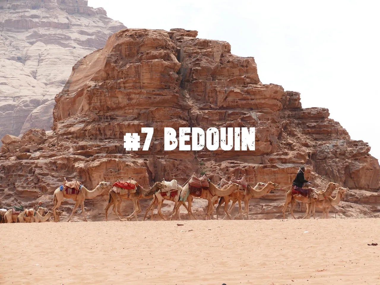 7 bedouin.jpeg