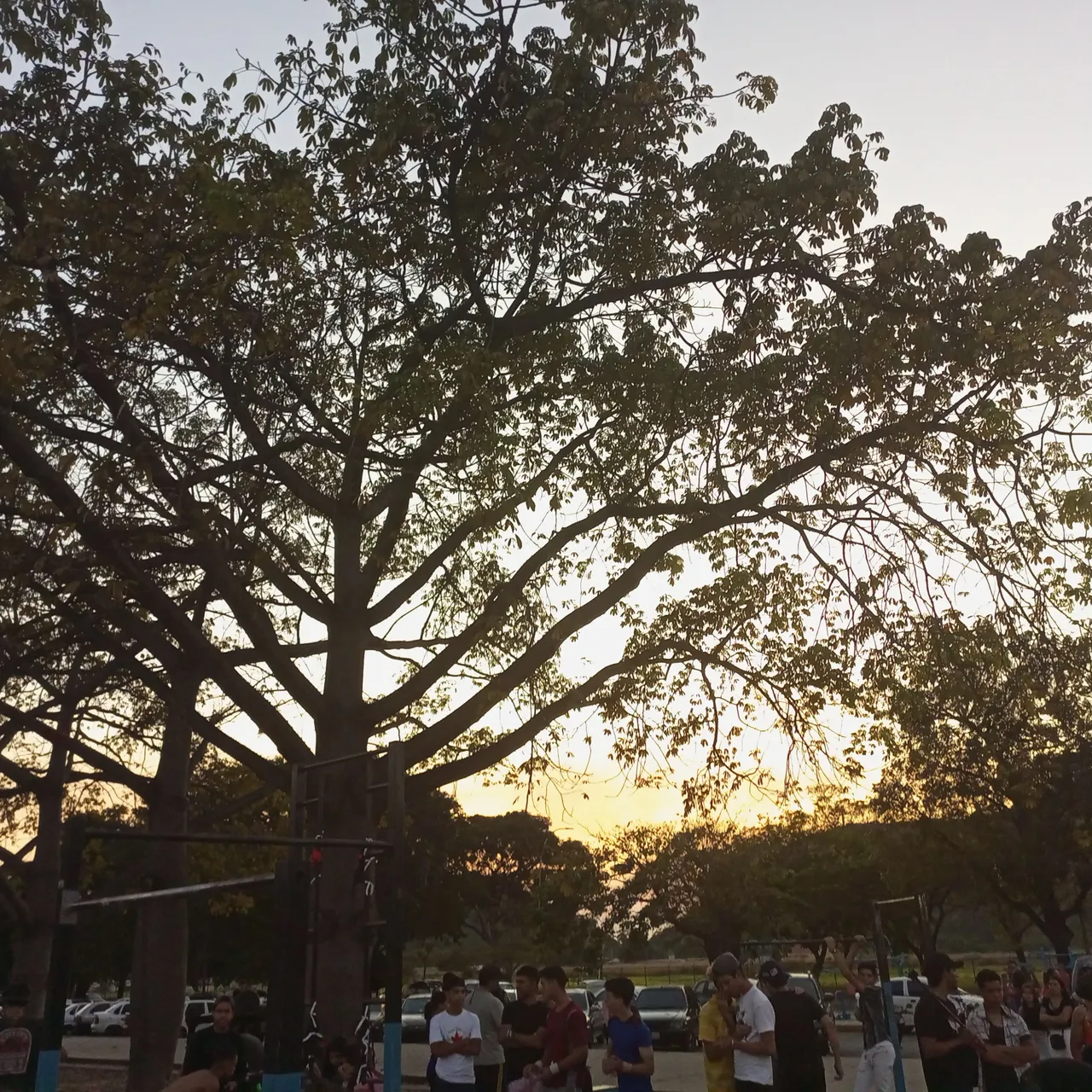 IMG_20230114_183323_878.jpg