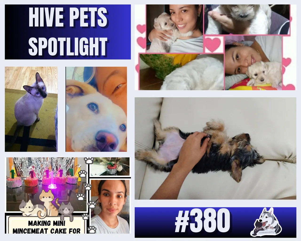Copy of HivePETS(4).png
