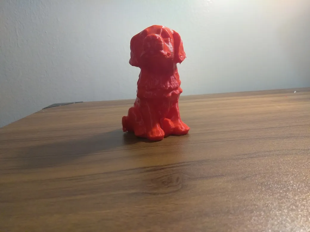 dog6.jpg