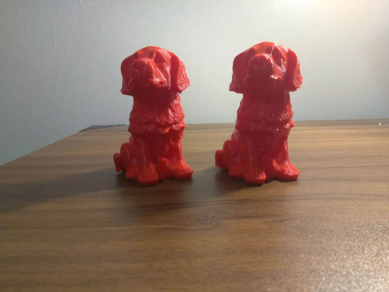 dog7.jpg