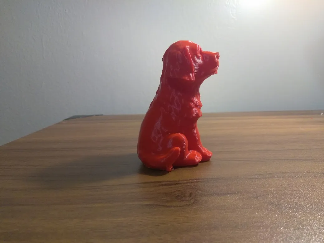 dog5.jpg