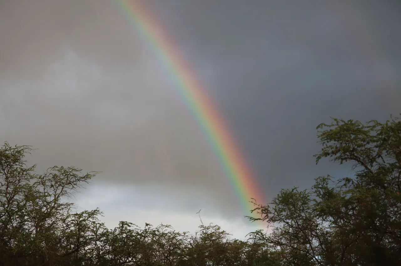 makena-rainbow-2021-10-21 at 8.45.18 PM.png