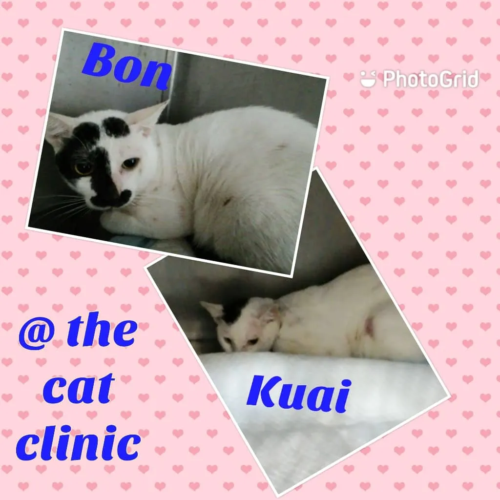 bon&kuai.jpg