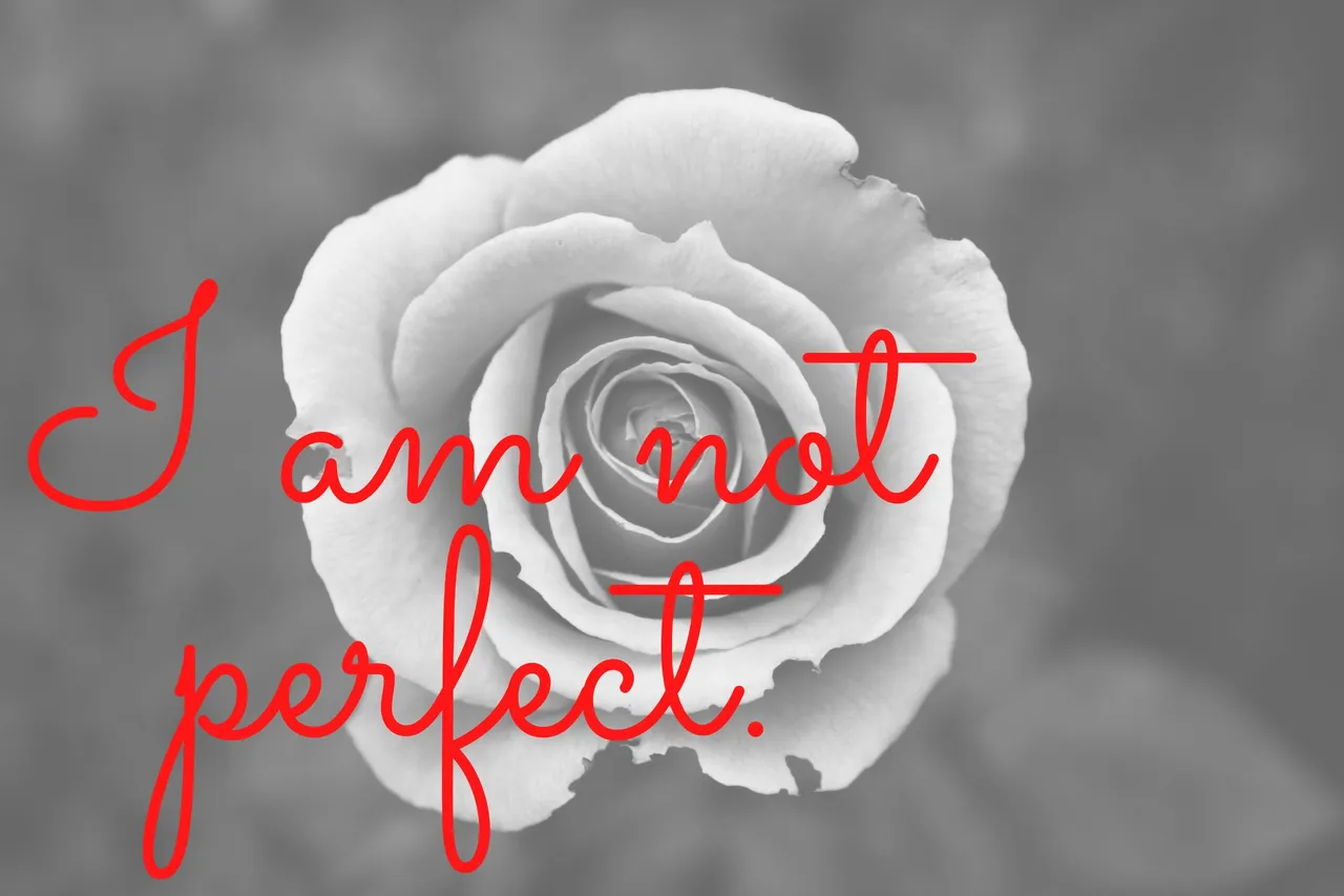 I am not perfect.jpg