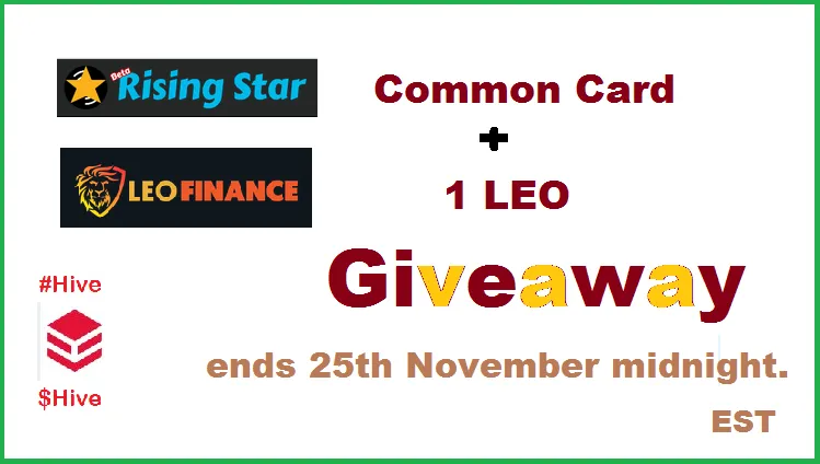 24-11-22-fpgiveaway.png