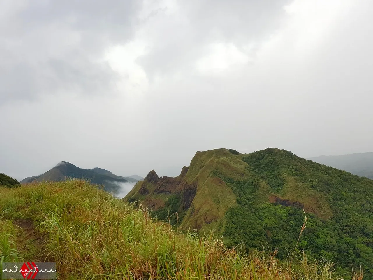 napulak (9).jpg
