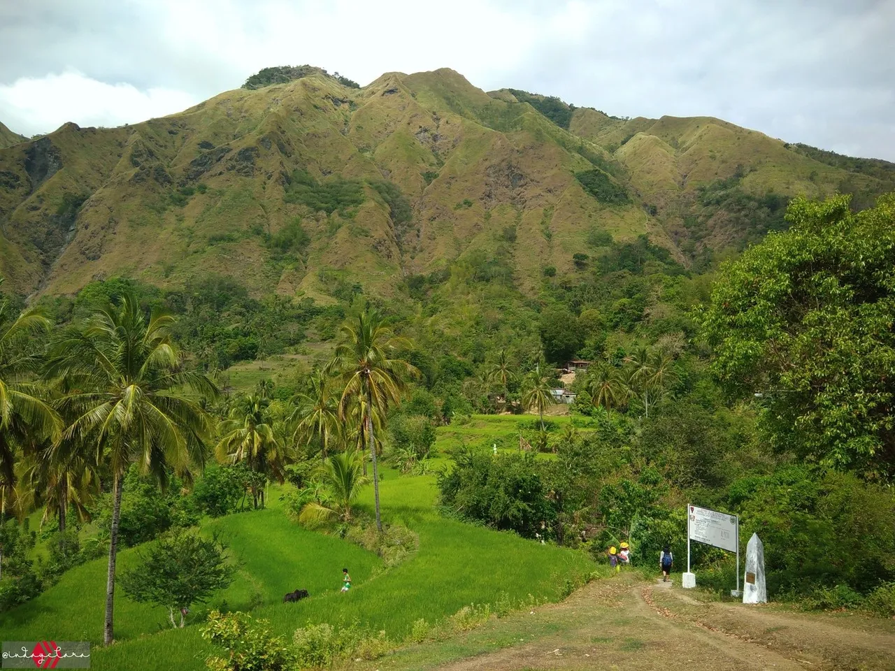 napulak (49).jpg