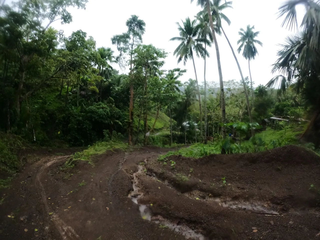 GOPR2125.JPG