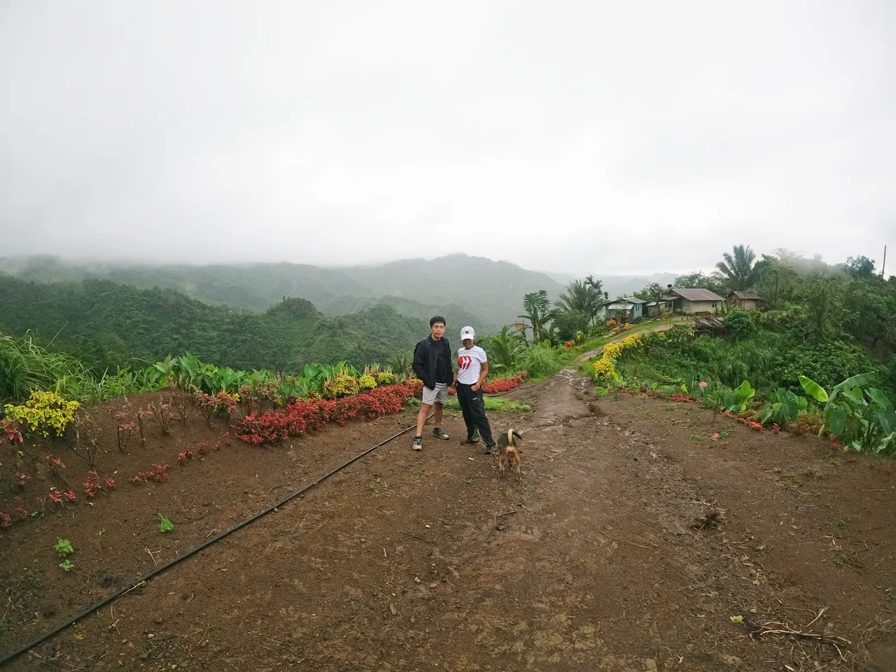 G0062101.JPG