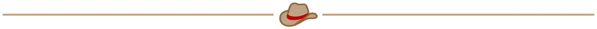 CowboyHat.png