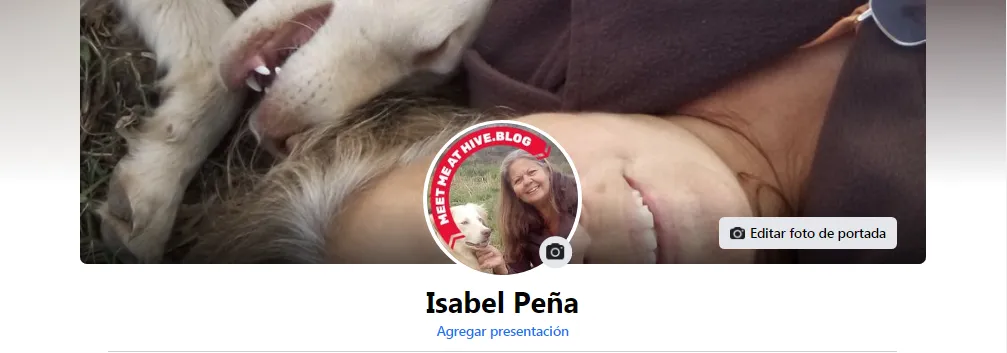 foto hive.png