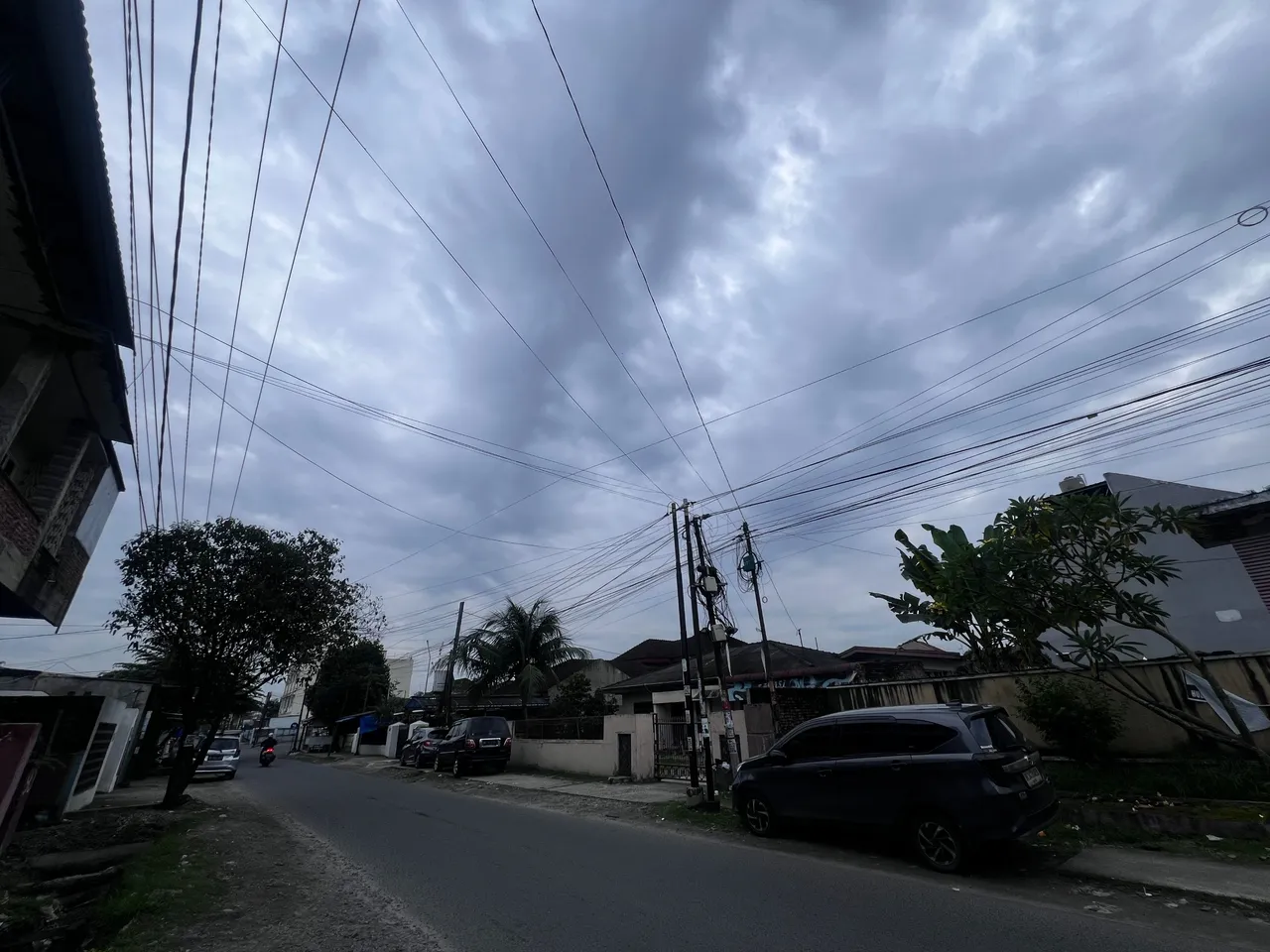 IMG_4597.jpeg