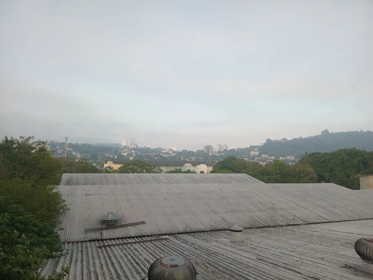 1000023308.jpg