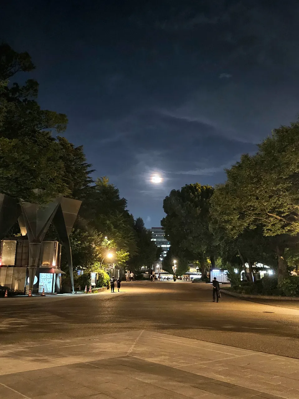 here is my entry to #pobphotocontest by @friendlymoose, it is good to be back! loved how this photo of a park within the city turned out to be with the full moon shining as bright if not brighter than the city lights.