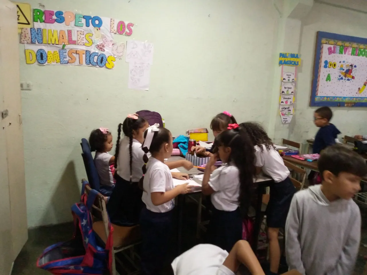IMG_20250409_100445_576.jpg