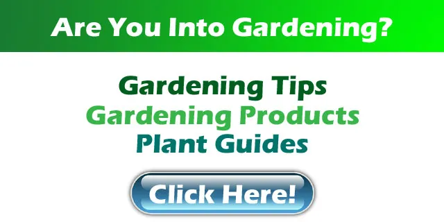garden-depo.jpg