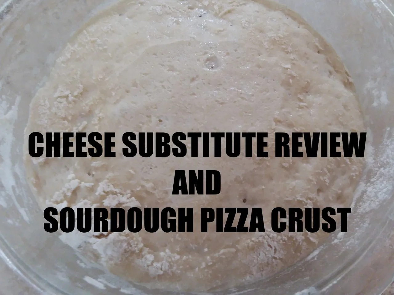 Sourdough Cover.jpg