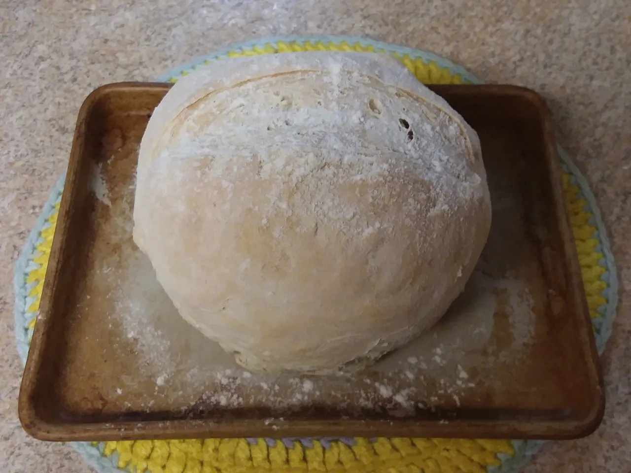 sourdough fail.jpg