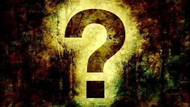 question-mark-5475172_640.jpg