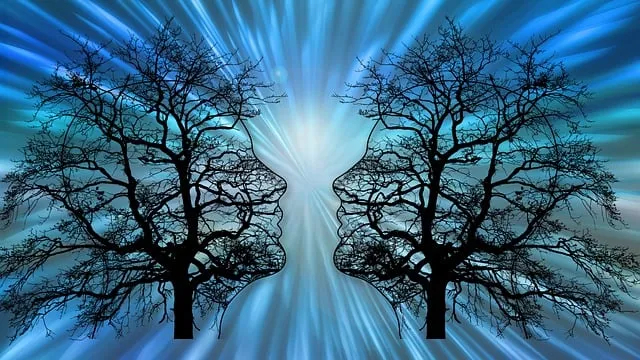 trees-6361892_640.jpg