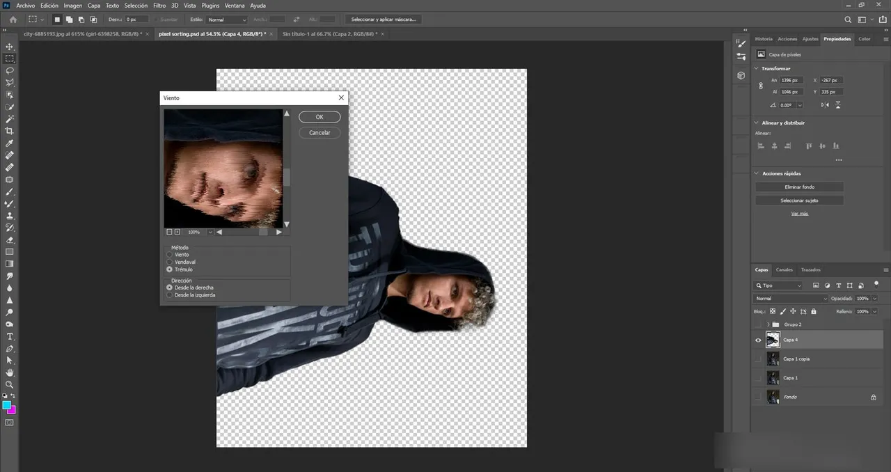 proceso-3a.jpg
