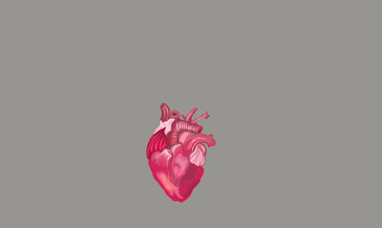 corazon color 1.jpg