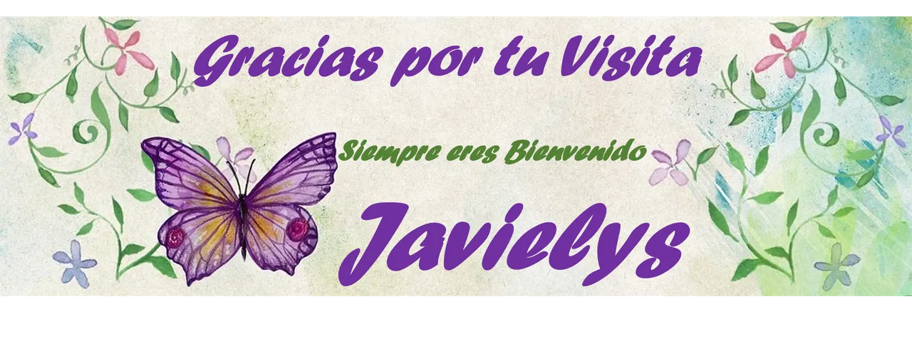 Pie de Javielys.png