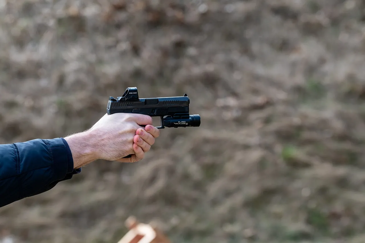 weapon-7108561_1280.jpg