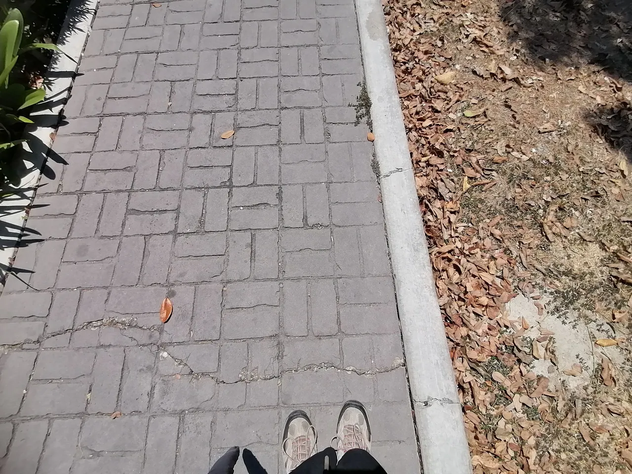 IMG_20250310_124705.jpg