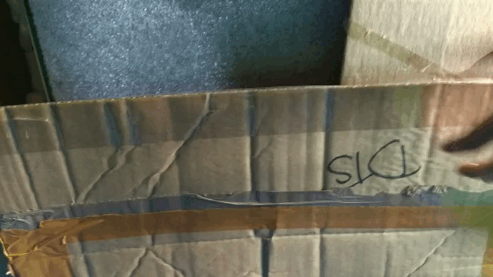 VID_20211124_160209.gif