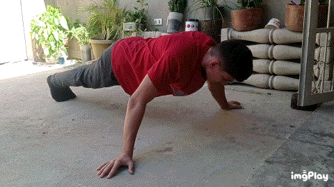 IMG_tgcprp.gif