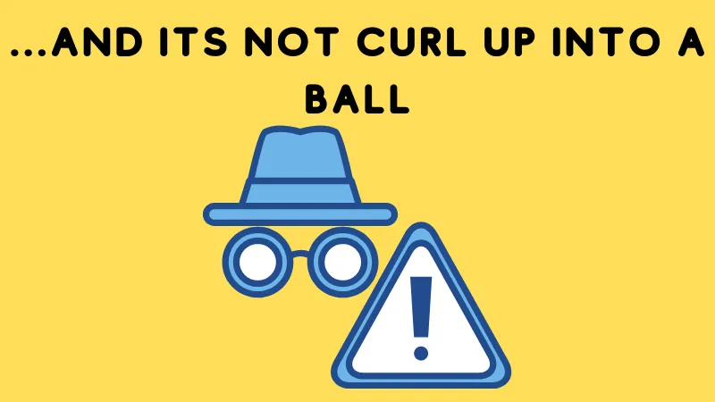 ...and its not curl up into a ball.png