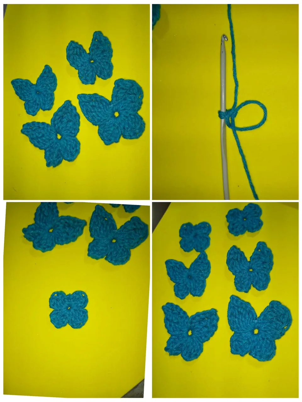 InCollage_20250723_220413999.jpg
