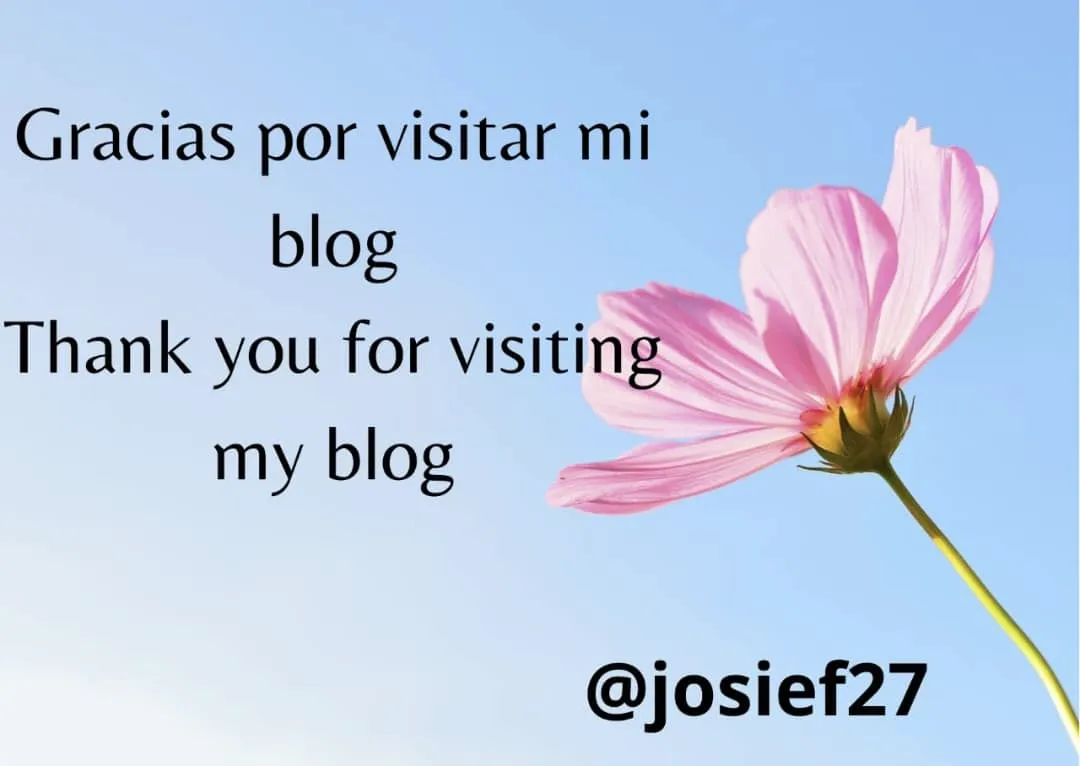 imagen.png