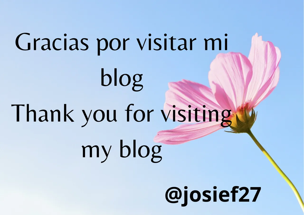 Gracias por visitar mi blog Thank you for visiting my blog.png