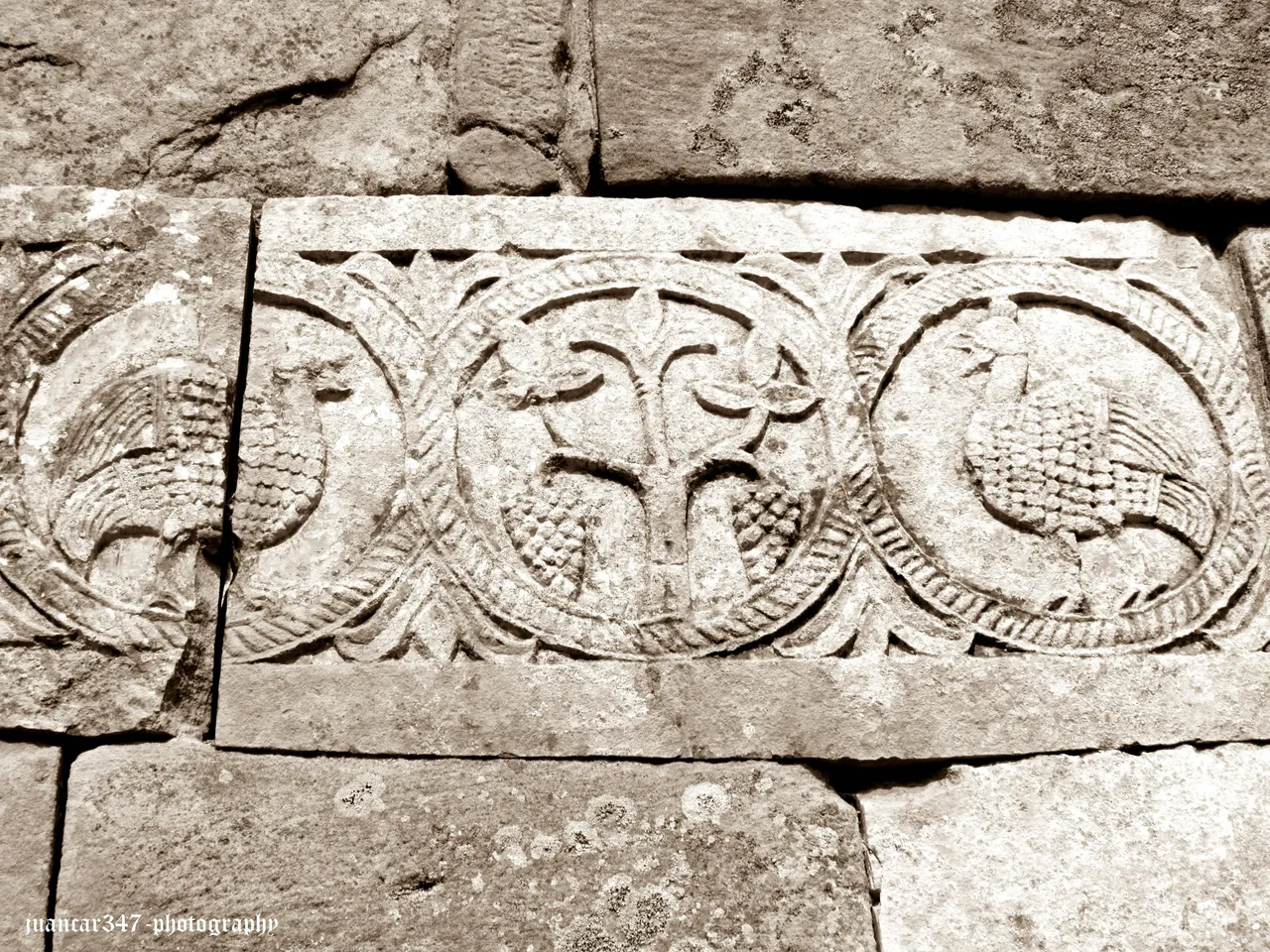 IMG_5020_5copia.jpg