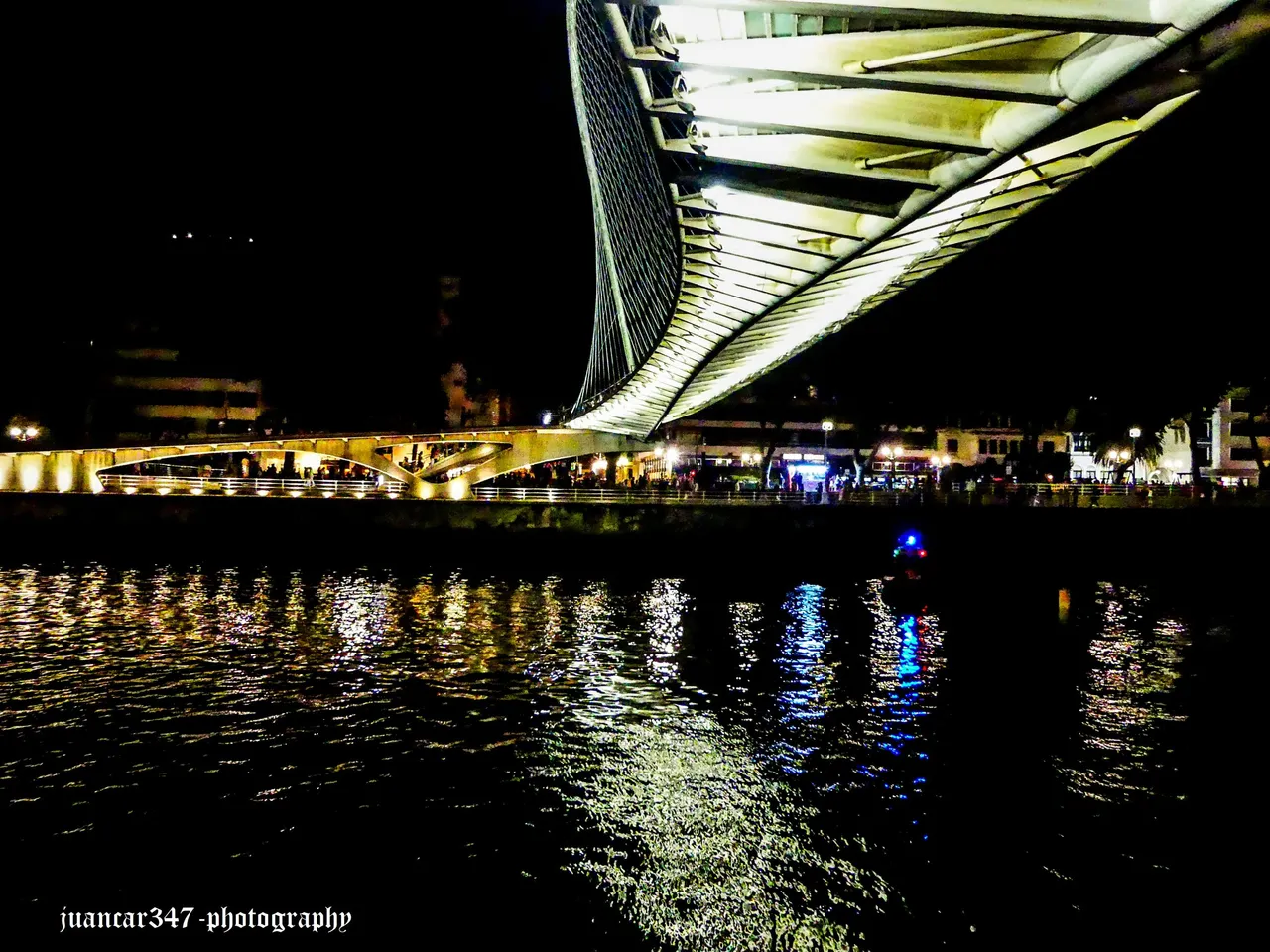 P1040622_edited.jpg