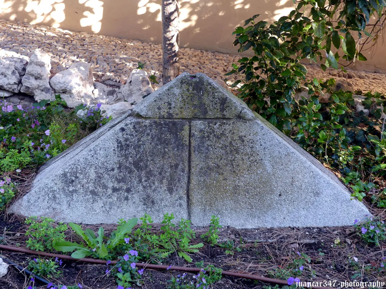 P1220367_acopia.jpg