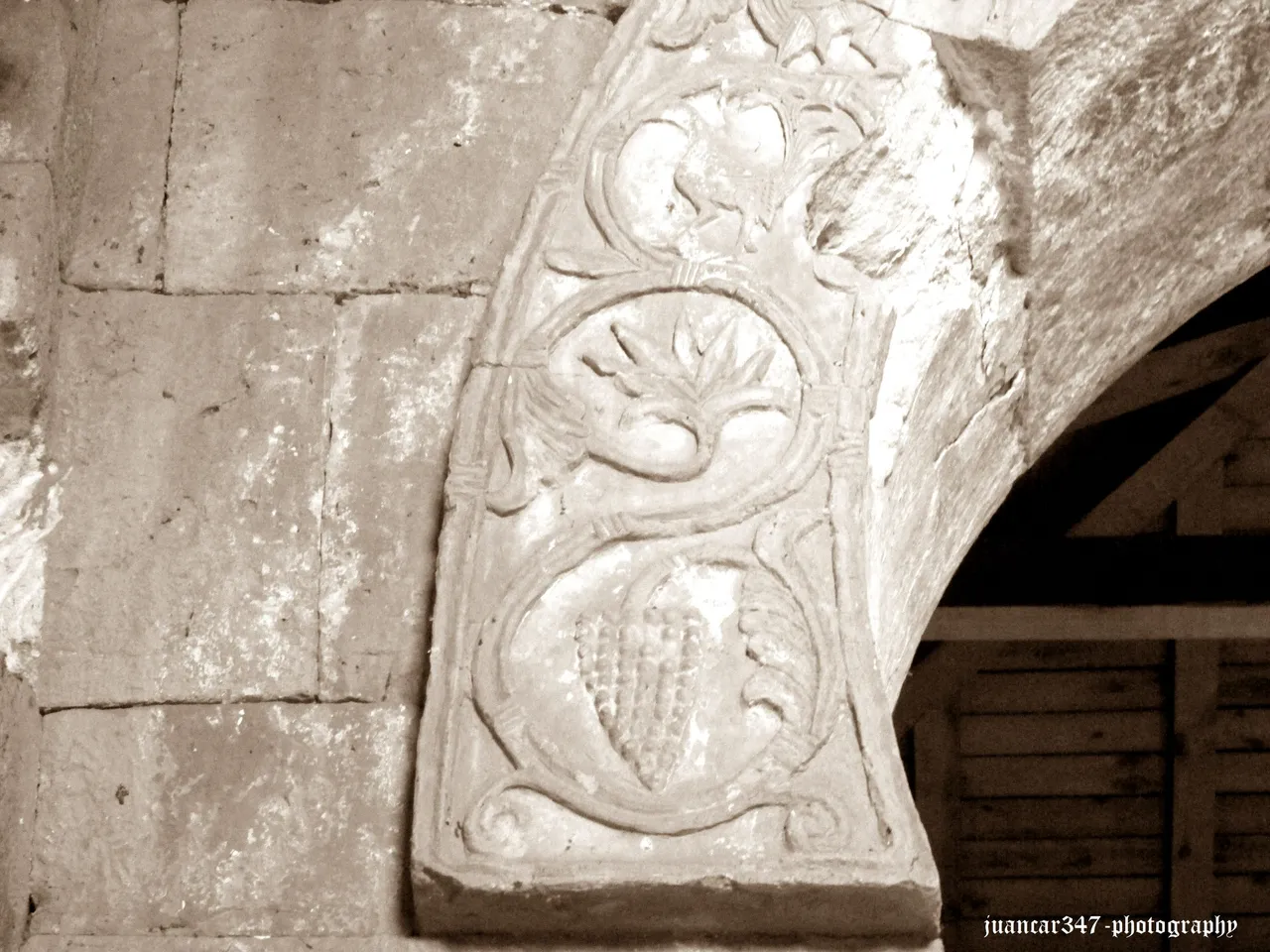 IMG_5000_5copia.jpg
