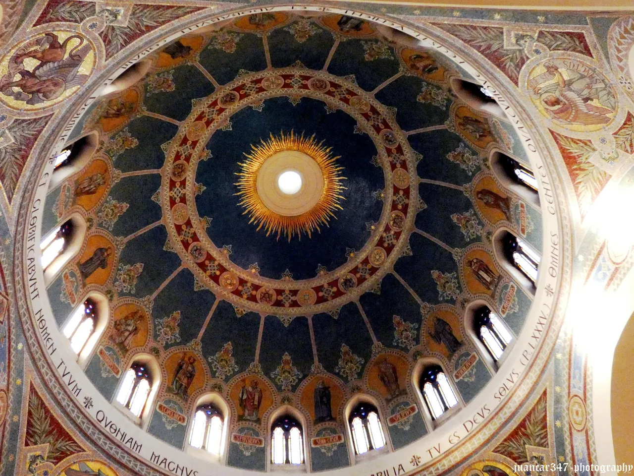 P1010711_acopia.jpg