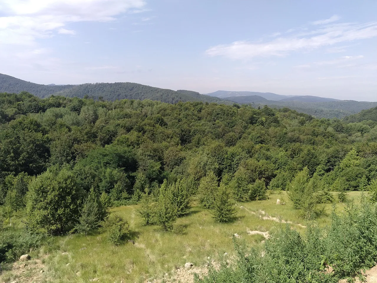 IMG_20250715_095036.jpg