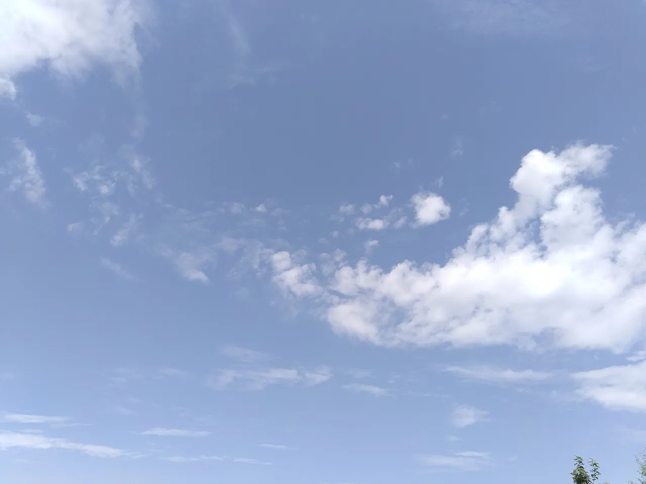 IMG_20250715_095618.jpg