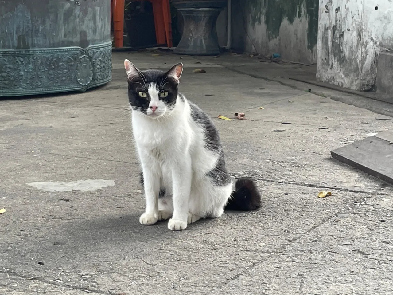 IMG_7566.jpeg